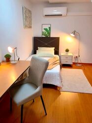Chuan Green (D19), Semi-Detached #566197111
